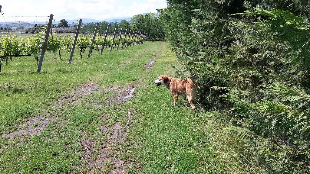 Lantgård Agriturismo Case Mori Rimini Italien